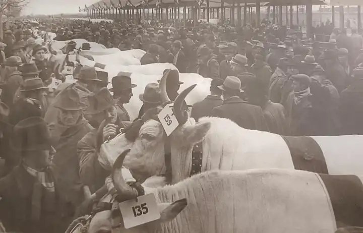 Mercato della Grassa FO 1939 il Resto d.Carlino