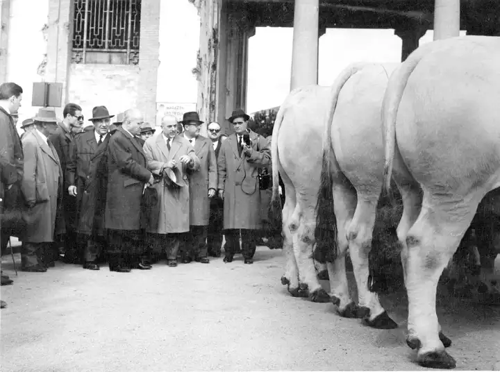 Foro Boario FO Anni 50