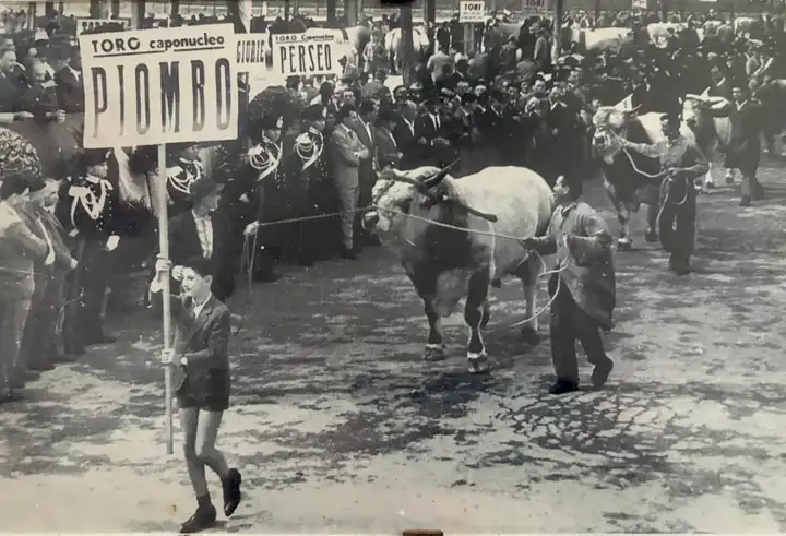 PIOMBO a Cesena anni 50