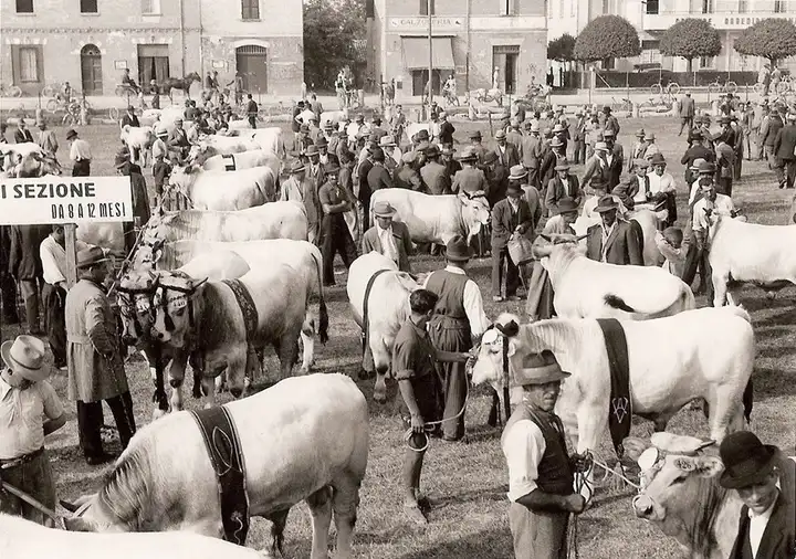 Spiv1930