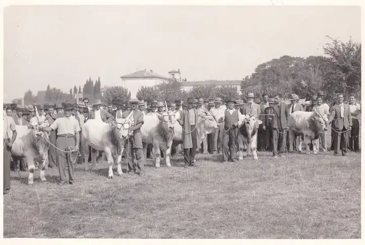 SP in Vincoli RA 1938