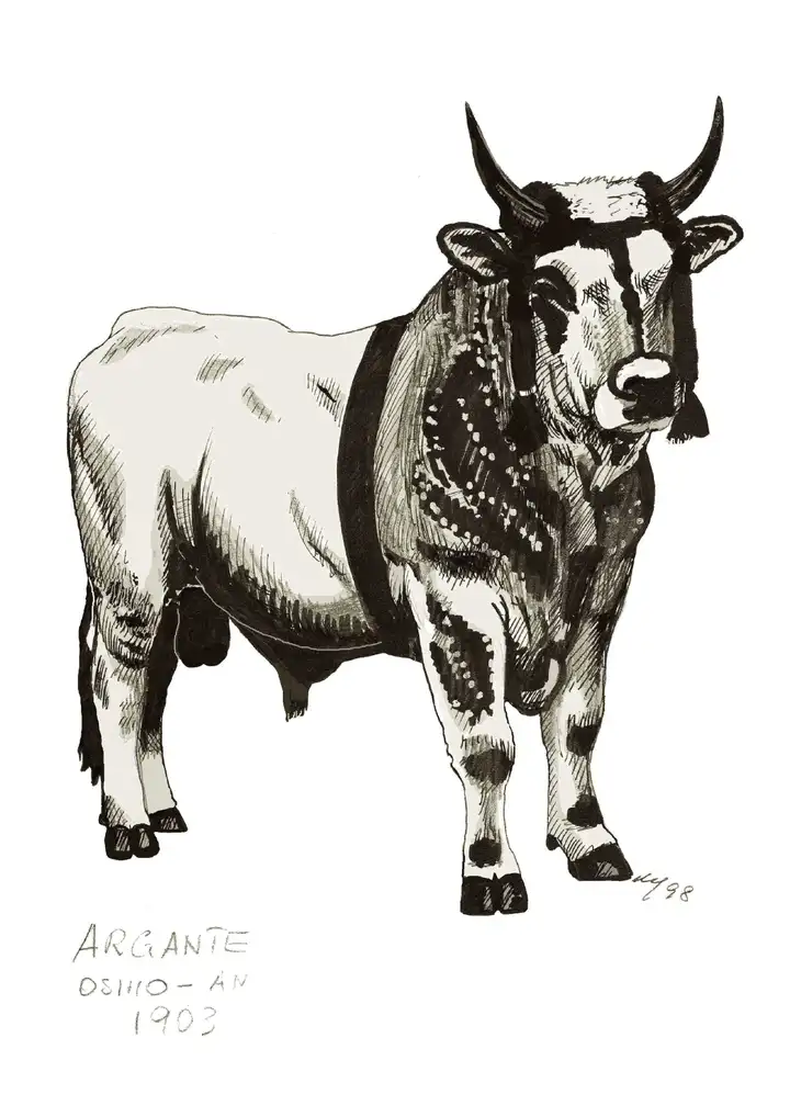 ARGANTE Osimo AN 1903