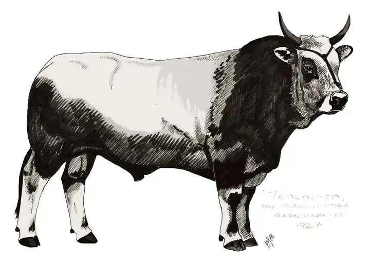 TEODORICO n 1927 All Pasolini dall'Onda Gambellara RA