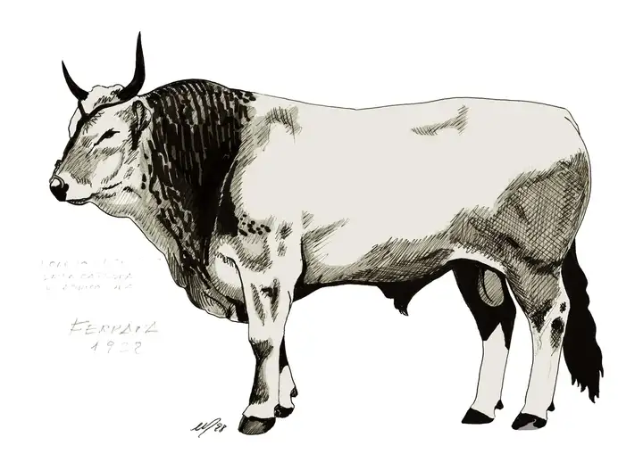 FERRARA 1928 B