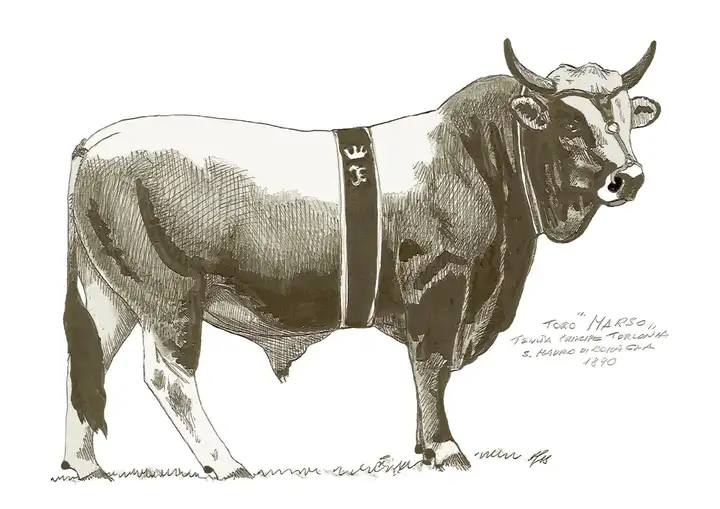 MARSO Tenuta Torlonia 1890