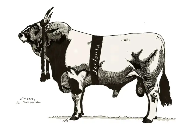 CUCCO Az. Torlonia