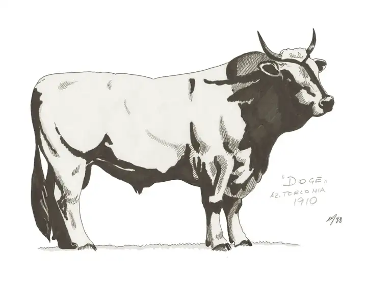 DOGE Tenuta Torlonia 1910