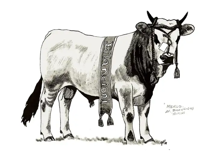 MERLO Az. Bilancioni 1910