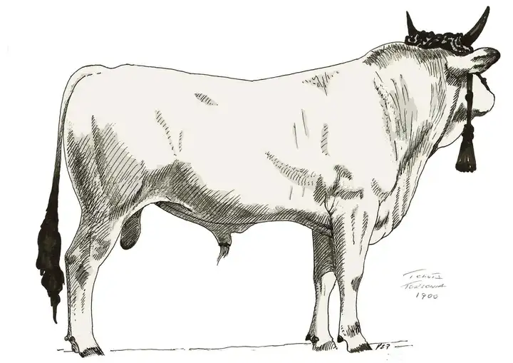 TENUTA TORLONIA 1900