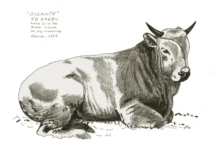 GIGANTE da Titano n.1976 R.Fiorentini FO KENYA
