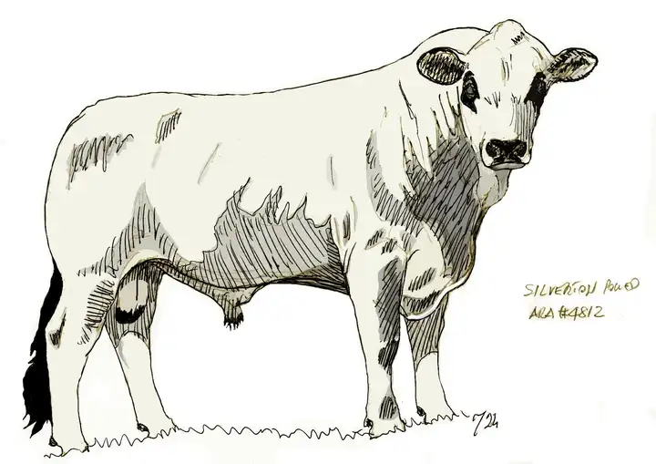 ARA 4812 J. Yates TX USA